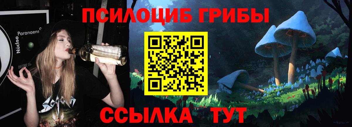 Гурьевск  Галлюциногенные грибы Psilocybine cubensis  Вход с VPN  Псилоцибиновые грибы GOLDEN TEACHER 